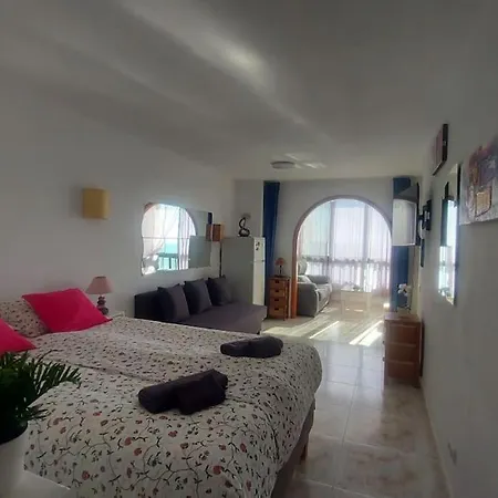 Don Paco With Wifi * Patalavaca