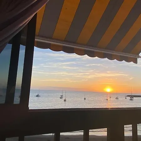 Don Paco With Wifi パタラバカ